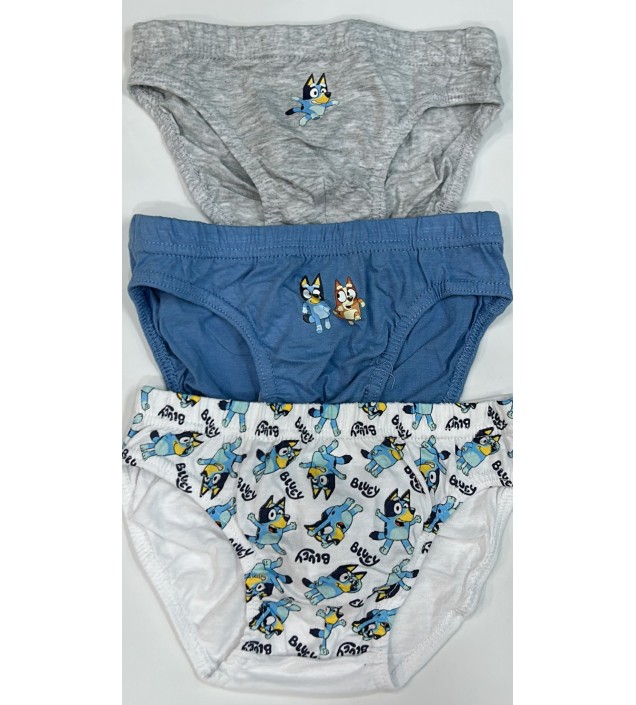 BRAGA Y CALZONCILLOS BLUEY . 2