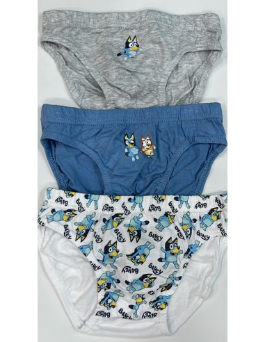 BRAGA Y CALZONCILLOS BLUEY .