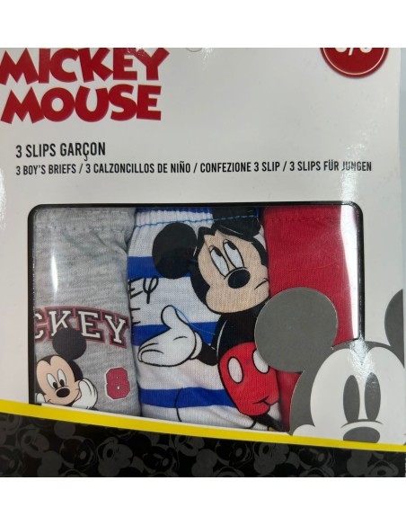 SLIP MICKEY
